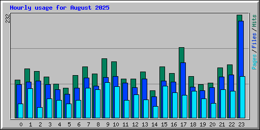 Hourly usage for August 2025