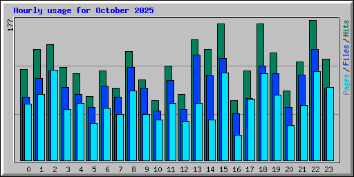 Hourly usage for October 2025