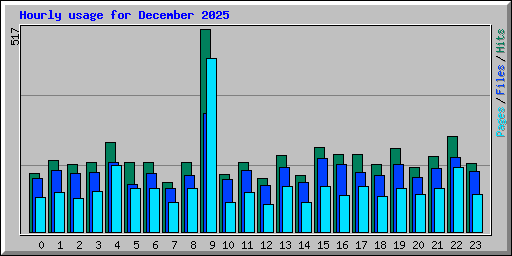 Hourly usage for December 2025