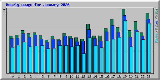 Hourly usage for January 2026